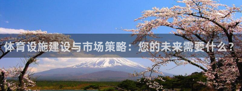 意昂5(KGAME)体育注册：体育设施建设与市场策略：您的未