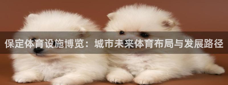 意昂5(KGAME)体育招商电话号码：保定体育设施博览：城市