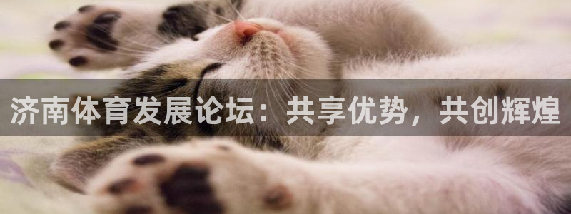 意昂5(KGAME)娱乐代理怎么样：济南体育发展论坛：共享优 