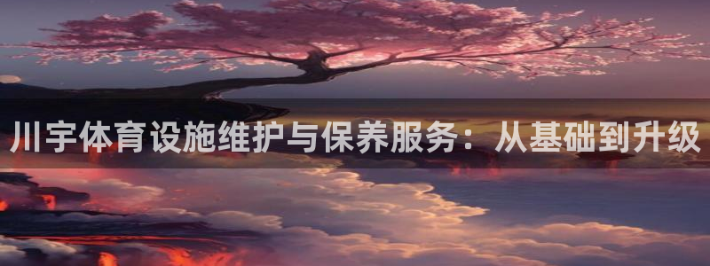 意昂集团官网：川宇体育设施维护与保养服务：从基础到升级 