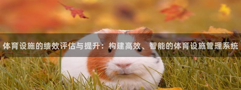 意昂5(KGAME)体育平台APP：体育设施的绩效评估与提升 