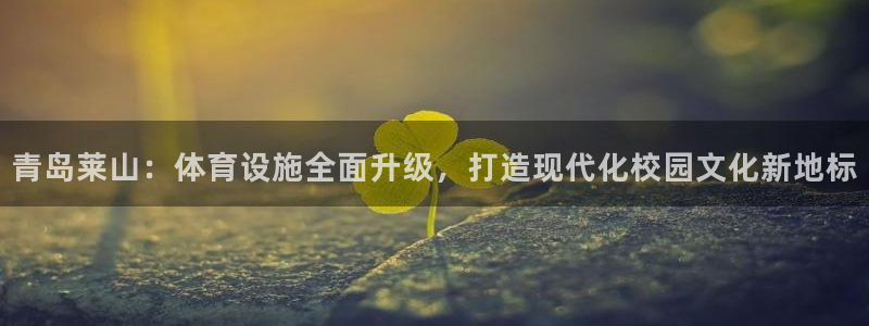 意昂5(KGAME)体育平台是正规平台吗：青岛莱山：体育设施